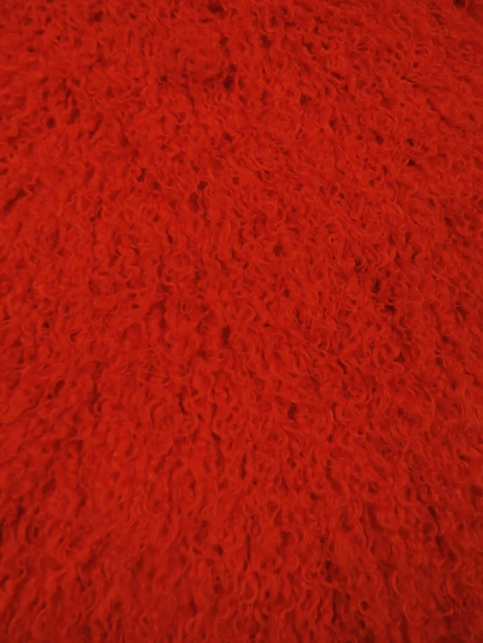 Ultra Curly Mongolian Minky Fabric - Image 19