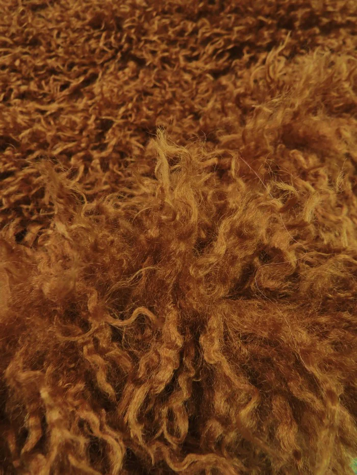 Ultra Curly Mongolian Minky Fabric - Image 5