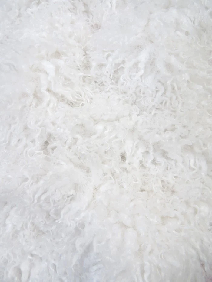 Ultra Curly Mongolian Minky Fabric - Image 8